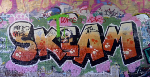 [2015 Session] Provide Property Owners Relief from Graffiti Through Cost-Effective Programming with Cleanup Services, and Reduce Graffiti Penalties to Lower Local Expenses